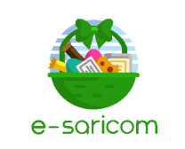 E-saricom